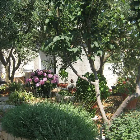 Sinisa Apartamento *