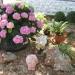 דירה Sinisa